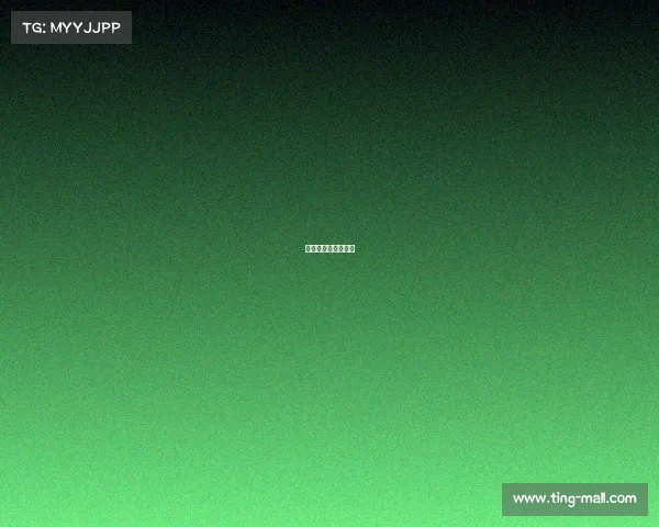 球上赛事、球类赛事